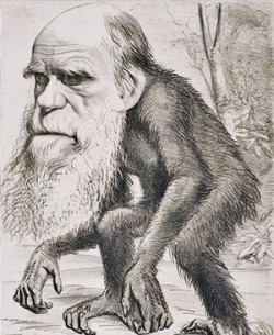 Charles Darwin in a caricature that shows Darwin as an Ape Man, implying Darwin to be leading Author of the Evolutionary Theory.